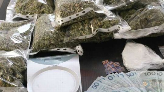 5 kg marihuany w wynajmowanych mieszkaniach