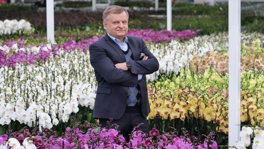 5 milionów orchidei w rok. Pachnące imperium w woj. lubelskim