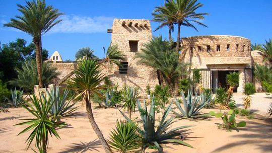 budynek wśród palm na wyspie Djerba