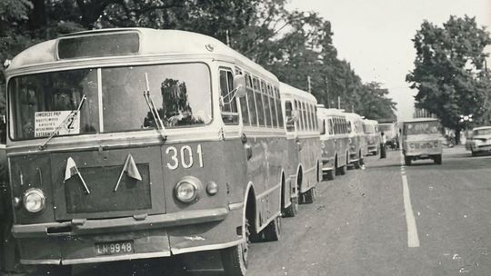 50 lat komunikacji miejskiej w Kraśniku. Zabytkowe autobusy, przejazdy dla mieszkańców i rodzinny piknik