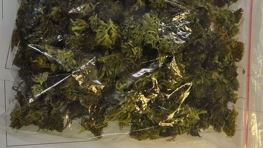 52-latek z marihuaną. Przyznał się do posiadania narkotyków