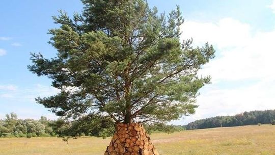 6. Landart Festiwal. "Te instalacje pozwalają na nowo spojrzeć na ten krajobraz" (zdjęcia)