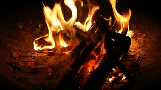 61-latek wrzucił psa do ogniska