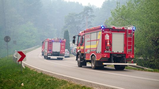Strażacy nadal dogaszają pożar w Puszczy Solskiej. „Cała reszta puszczy nadal jest sucha”