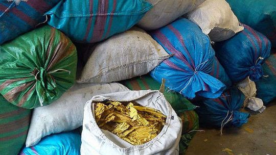 65-latek w Kębła handlował krajanką tytoniu