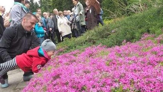 6700 gatunków roślin na 25 hektarach