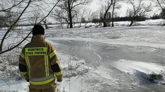 Alert hydrologiczny w Lubelskiem. Krzna może przekroczyć stan ostrzegawczy