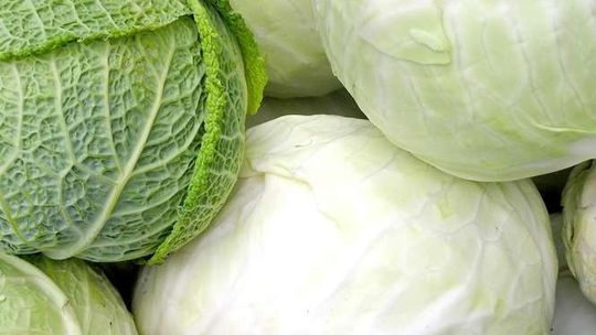 7 pomysłów na jesienną kapustę (przepisy)