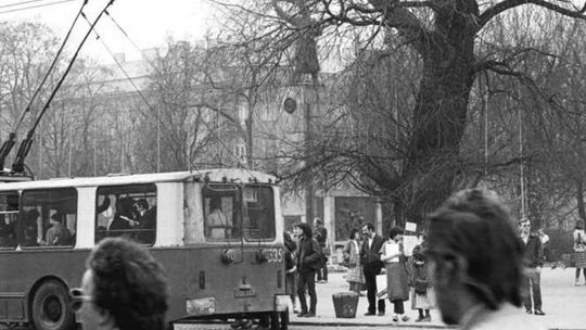 70/700. Wystawa fotografii łączy dwa jubileusze