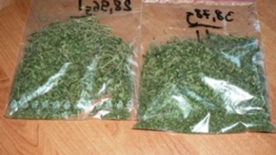 70 gramów marihuany w mieszkaniu mieszkańca Świdnika