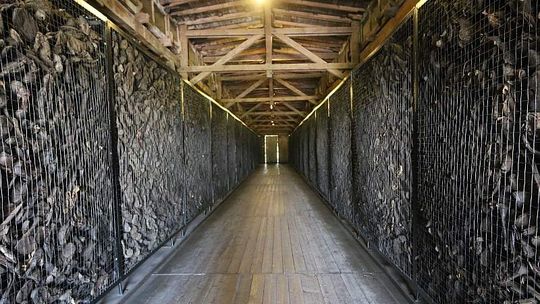 70 lat temu zlikwidowano obóz na Majdanku. Co zobaczyli zachodni dziennikarze?