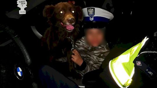 8-latek wybiegł za pieskiem i zaginął. Szukali go wszyscy policjanci w mieście