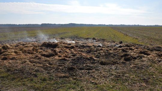 8-latek z 11-latkiem podpalili słomę. 1200 zł strat