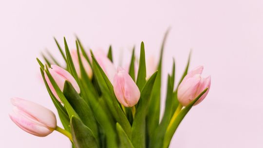 8 marca – Jak wybrać upominek, który wywoła uśmiech na twarzy każdej kobiety?