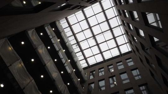 8-metrowe bambusy staną w nowej siedzibie Urzędu Marszałkowskiego (wideo, zdjęcia)