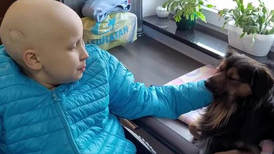 9-letni Oliver walczy z przerzutami złośliwego rdzeniaka