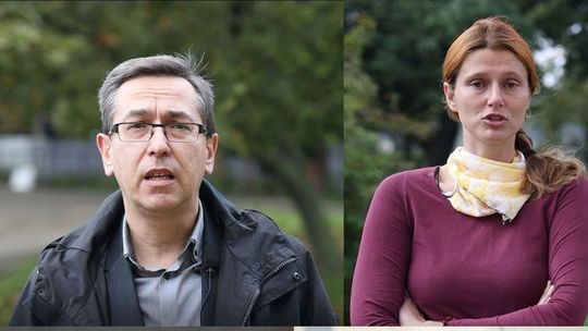 A gdyby drzewa zniknęły? Naukowcy z UMCS w Międzynarodowy Dzień Krajobrazu