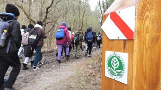 A może by tak do lasu? Nowa ścieżka w Puszczy Solskiej