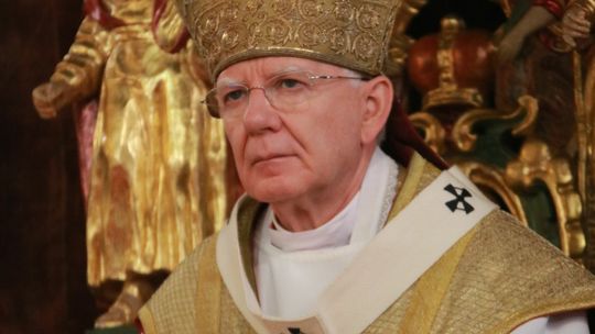 Abp Jędraszewski: Nikt nie uwierzy, że brzoza jest w stanie oderwać skrzydło 