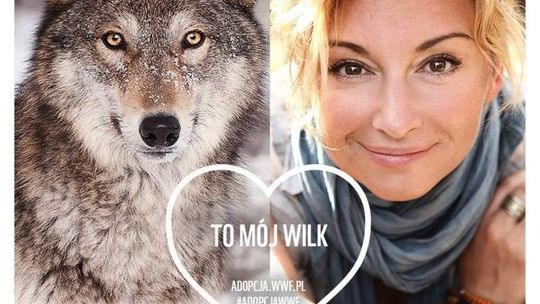 Adoptuj tygrysa lub fokę na walentynki