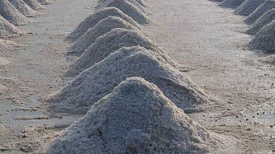 Afera solna: Próbki soli badane w Puławach