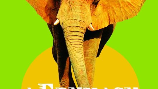 AFrykasy SunSystem w Domu Kultury