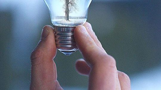 Agata Mroczek z Gimnazjum w Niemcach finalistką ogólnoświatowego konkursu 