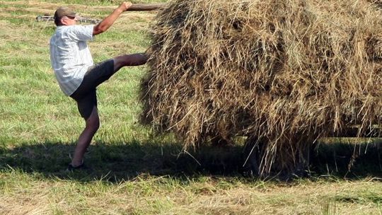 Agrobiznes: Informacje dla rolników