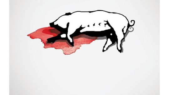 AH1N1 świńska grypa vol. 4 w Tekturze