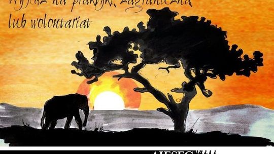 AIESEC zaczyna rekrutację na wolontariat i praktyki zagraniczne