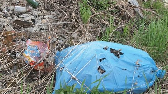 Akcja Czyste Miasto w Kraśniku. Zgłoś, gdzie jest brudno