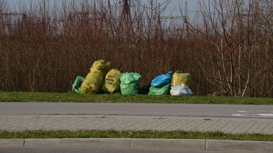 Akcja „Czysty Chełm”. Wzięło w niej udział 3,3 tys uczniów i przedszkolaków