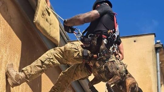 Akcja kontrterrorystów w samym centrum Lublina Akcja kontrterrorystów w samym centrum Lublina