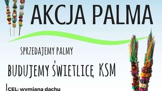 Akcja Palma. Zbierają na dach w budynku świetlicy dla dzieci