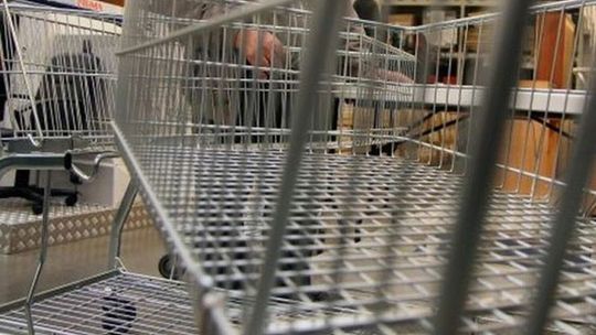 Akcja PDPZ. Wolontariusze będą zbierać dary w Tesco