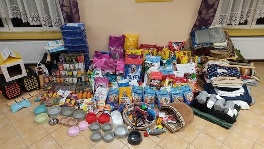 Akcja wiejskiej biblioteki. Już raz udało się zebrać 340 kg karmy dla zwierząt