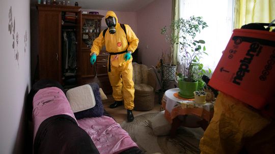 Akcja wojskowych w zamojskim domu pomocy społecznej. Dwa nowe zakażenia w innym obiekcie [zdjęcia]