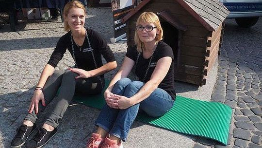 Akcja "Zrywamy Łańcuchy" w Lublinie. Psia buda stanęła przy Bramie Krakowskiej