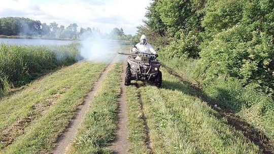 Akcja zwalczania komarów w Zamościu