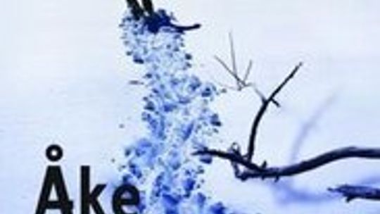 Ake Edwardson \"Niebo to miejsce na ziemi\"