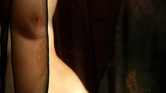 Akty Malwiny de Brade