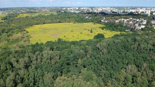 Aktywiści donoszą na Ratusz za chomiki na górkach czechowskich