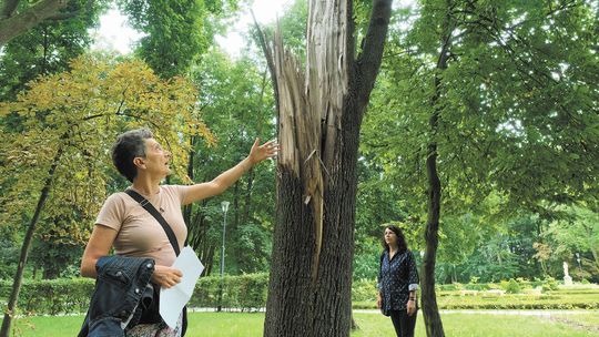 Aktywistki z Lubartowa zawieszają działalność. "Szczerze powiem, że jesteśmy zmęczone"