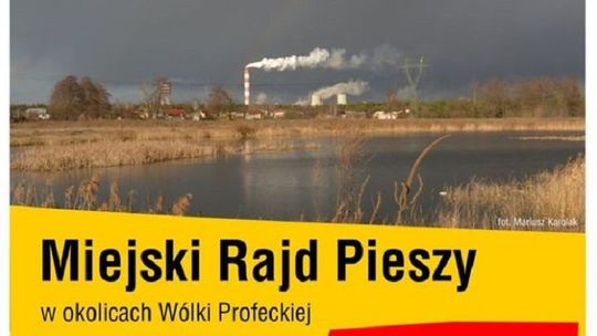 Aktywne Puławy - sportowe propozycje dla mieszkańców