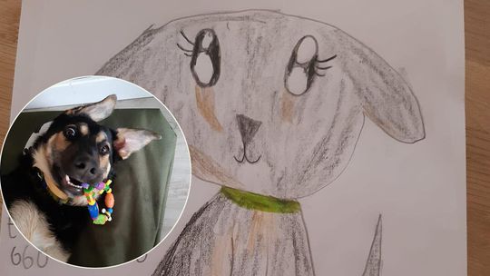 Ala szuka swojej Zumy. Zaginęła koło Lublina