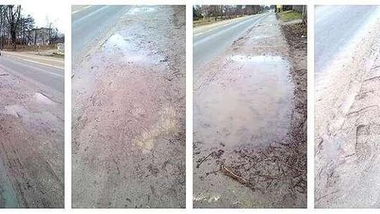 Alarm 24: Brudne chodniki. Inwestor: Ma być czyściej