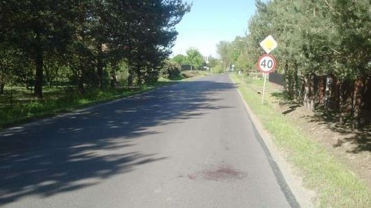 Alarm 24: Kierowca celowo przejechał kota?