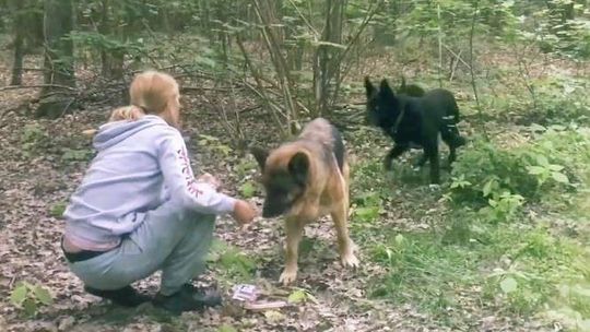 Alarm 24: Ktoś wyrzucił je do lasu. Sara i Nero czekają na pomoc