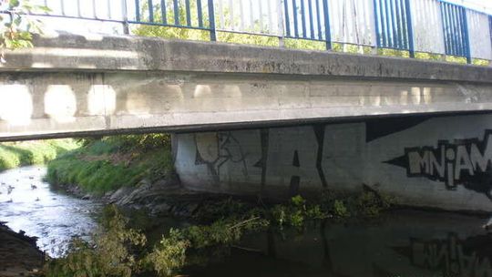 Alarm 24: Po co jeździć na Roztocze, szumy mamy na Czerniejówce