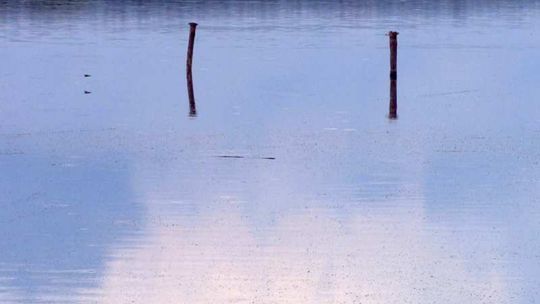 Alarm przeciwpowodziowy na Bugu